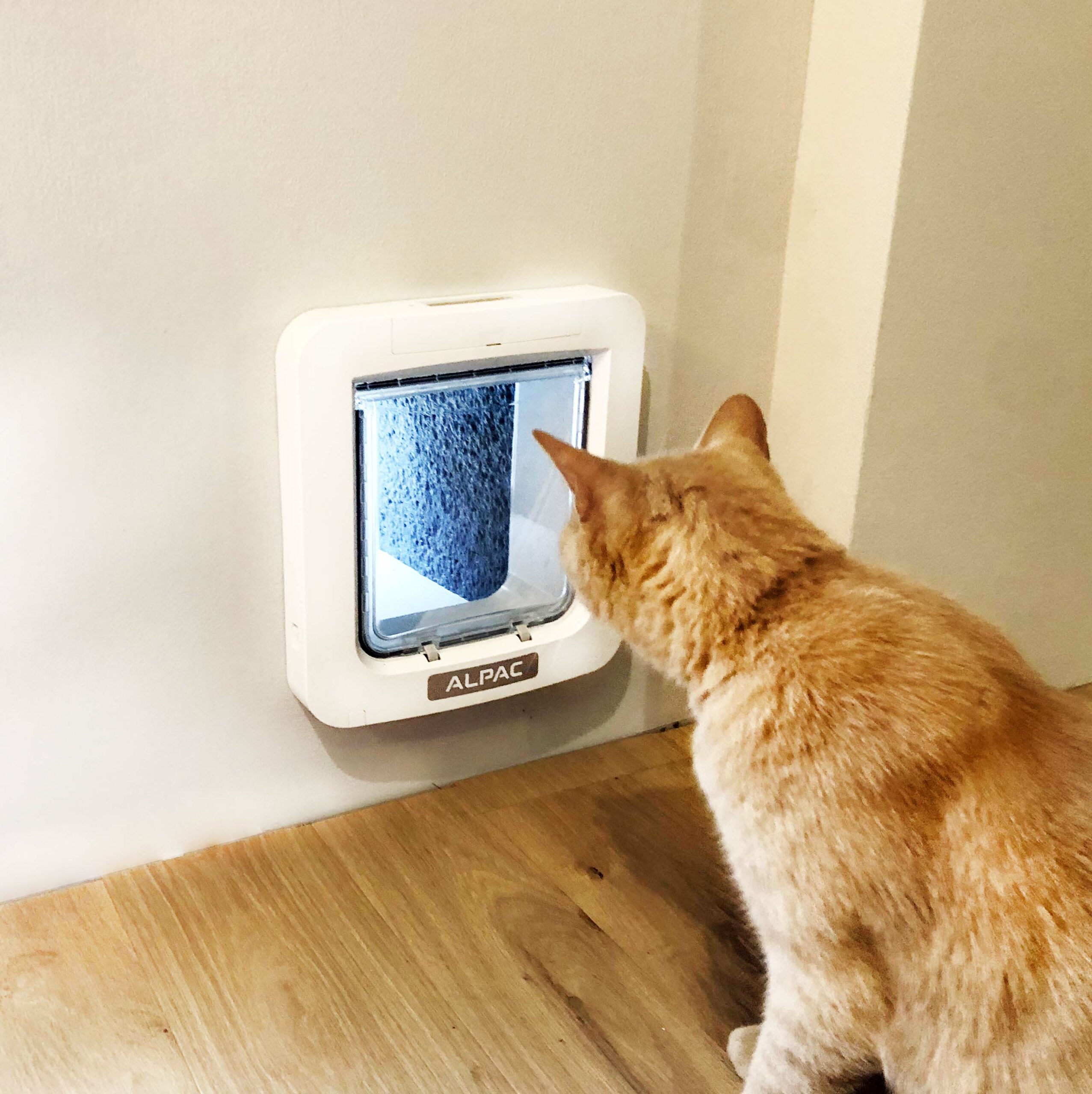 Chatière isolante pour chats et chiens Ingenius MyPet Alpac — free download